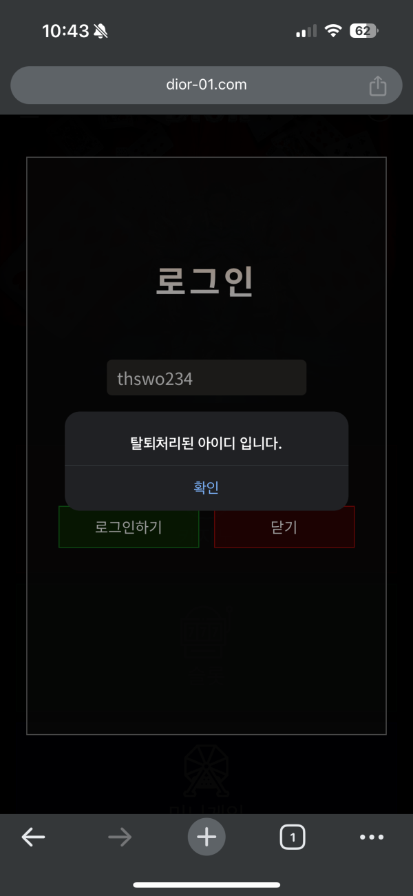 디올9.png